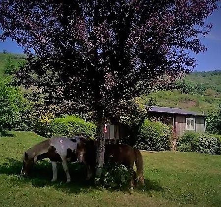 la Frégière Chalets Clairvaux-d'Aveyron Exterior foto