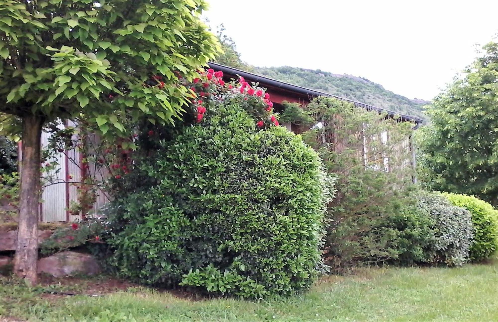 la Frégière Chalets Clairvaux-d'Aveyron Exterior foto