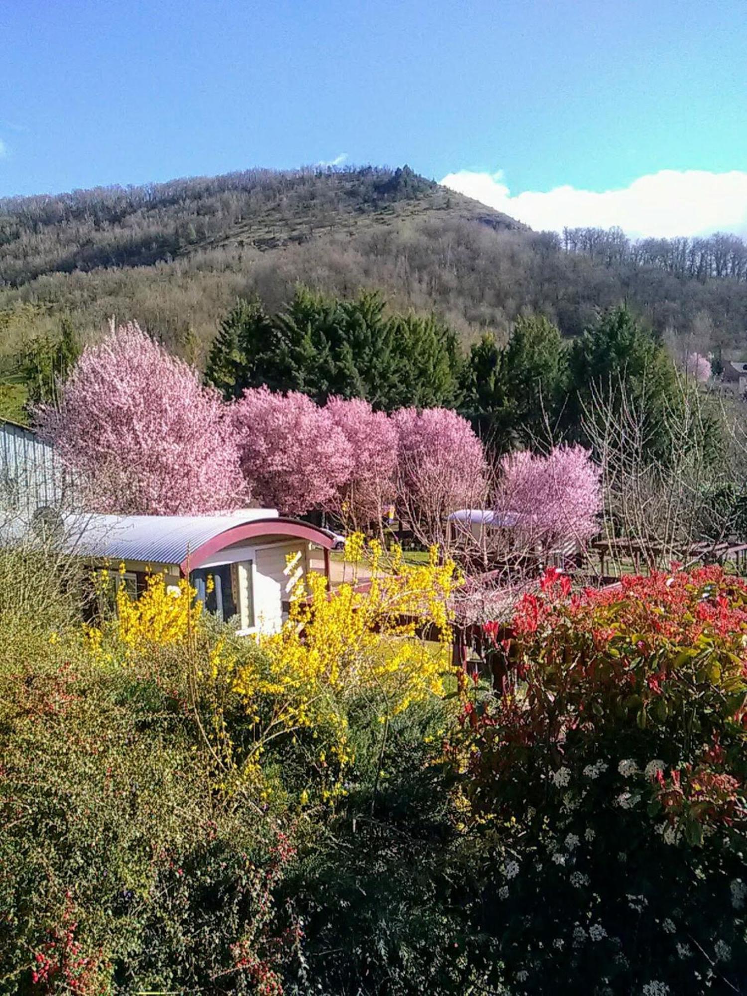 la Frégière Chalets Clairvaux-d'Aveyron Exterior foto