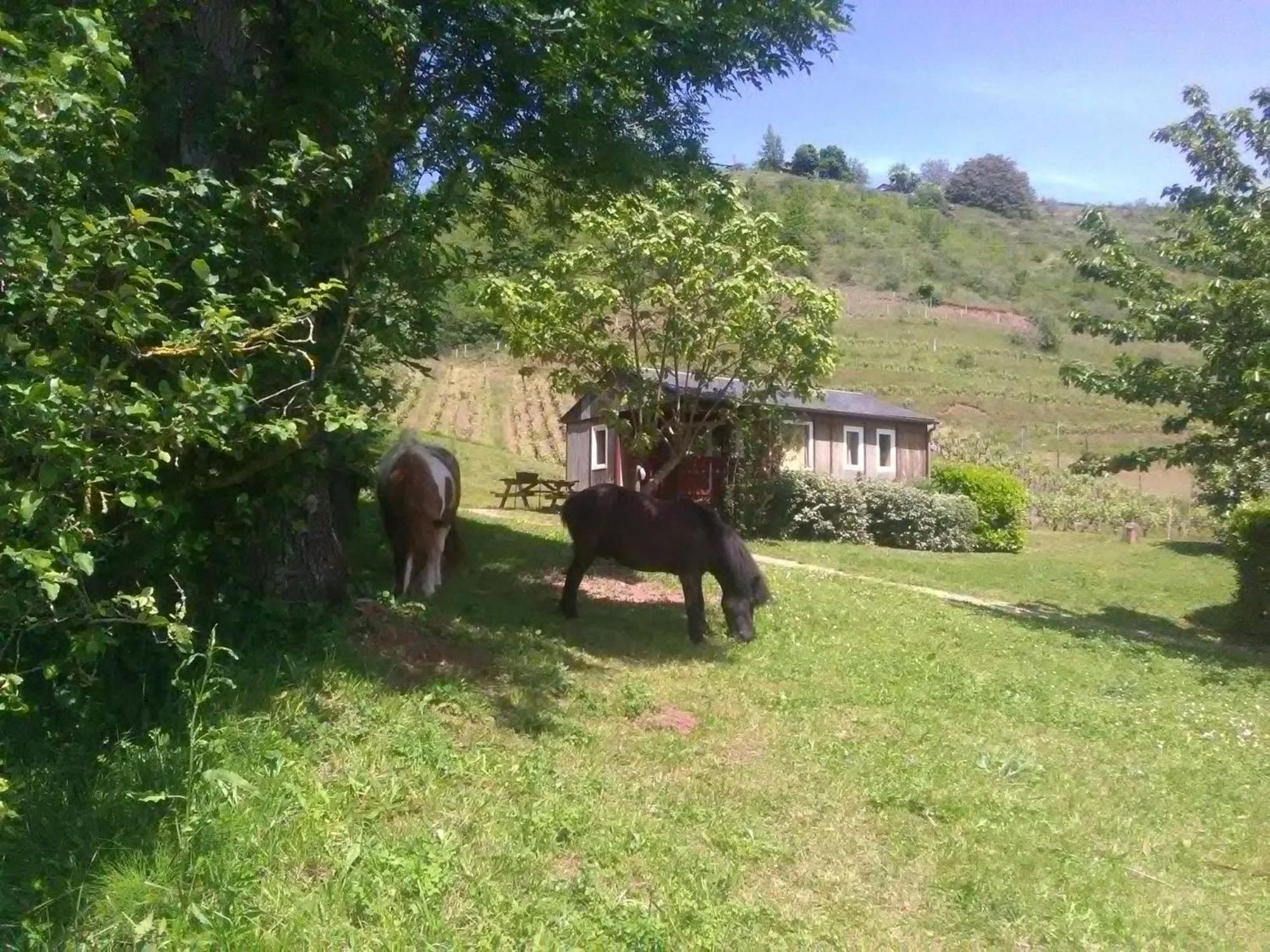 la Frégière Chalets Clairvaux-d'Aveyron Exterior foto
