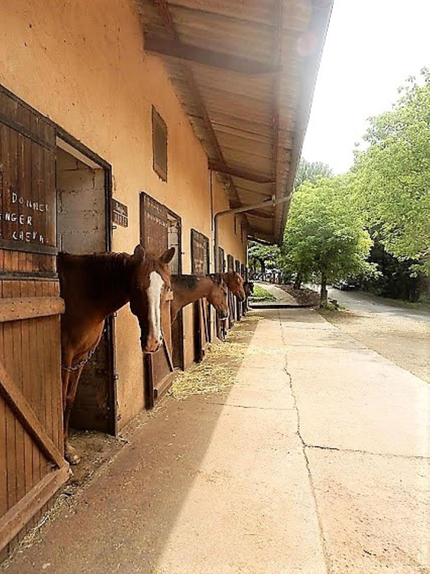 la Frégière Chalets Clairvaux-d'Aveyron Exterior foto
