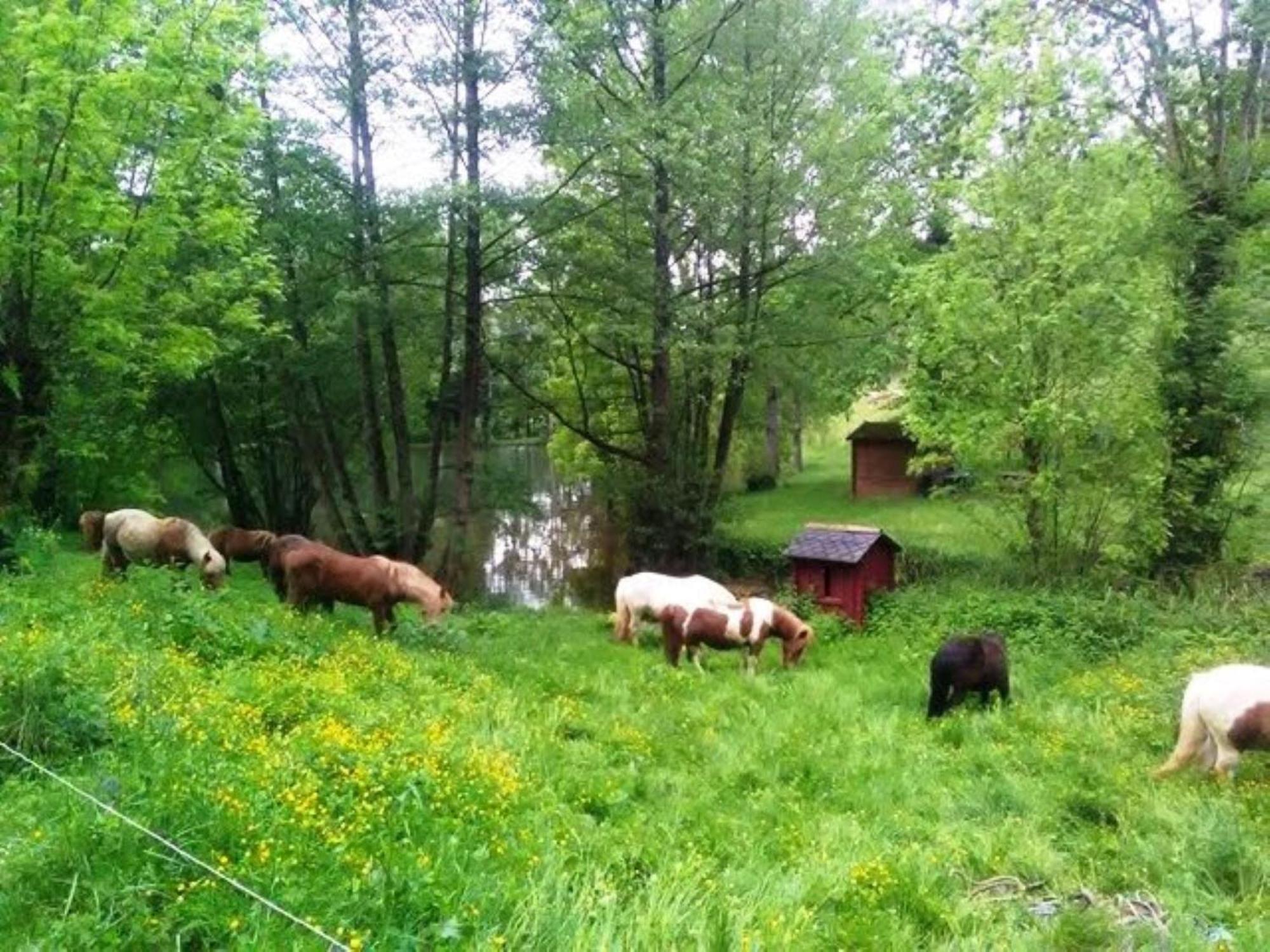 la Frégière Chalets Clairvaux-d'Aveyron Exterior foto