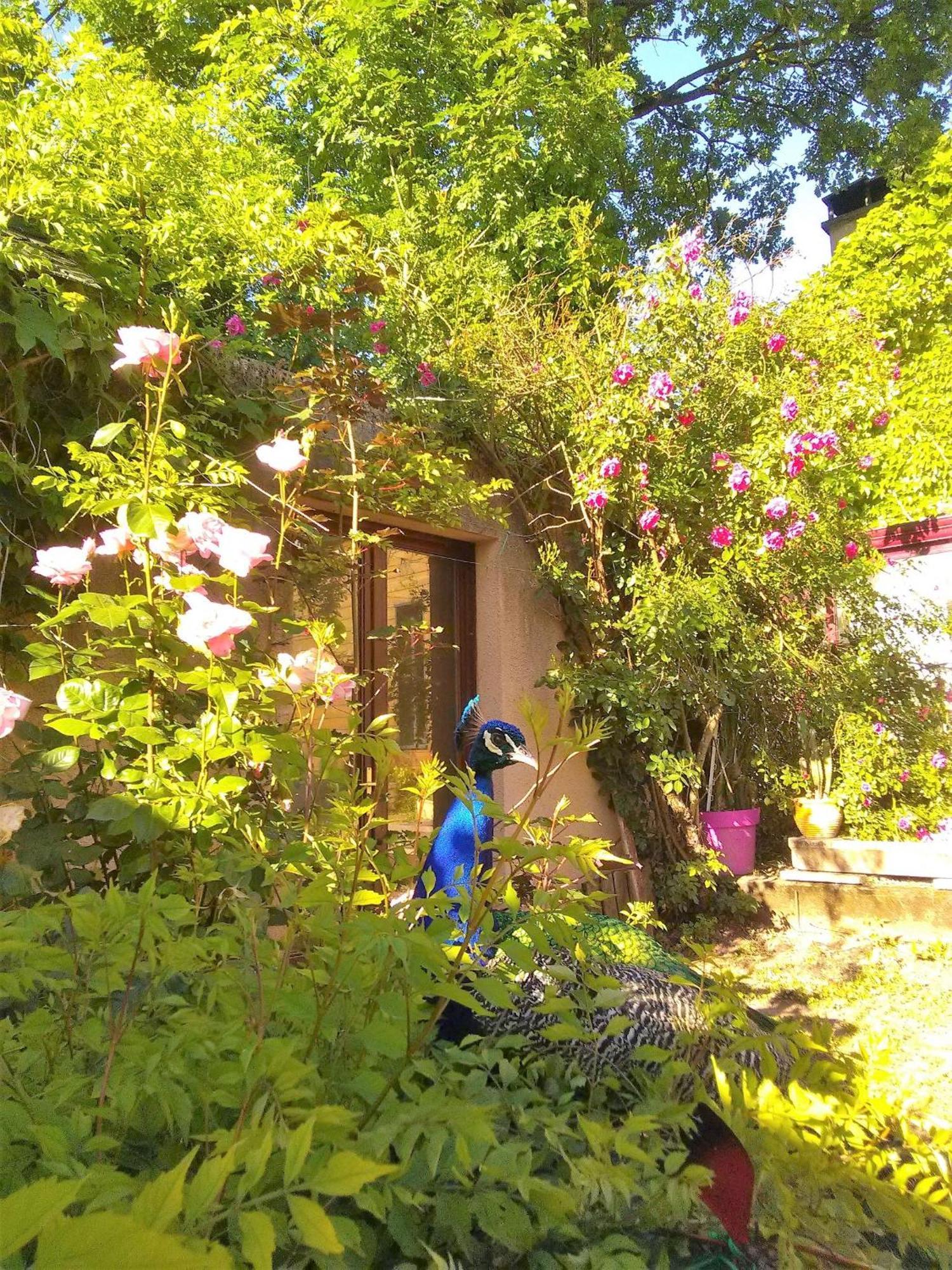 la Frégière Chalets Clairvaux-d'Aveyron Exterior foto
